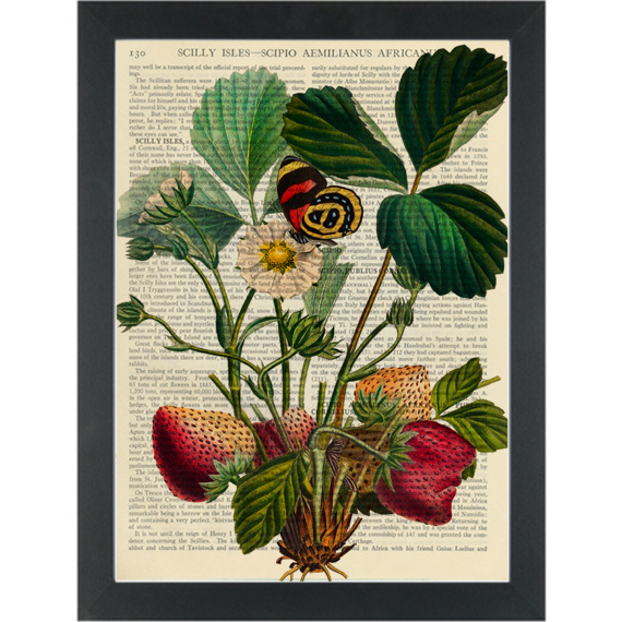 strawberry-vintage-botanical-drawing-dictionary-art-print-page-turner