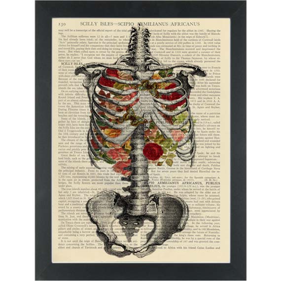 Anatomy Chest Ribs With Flowers Vintage Botanical Print Medical